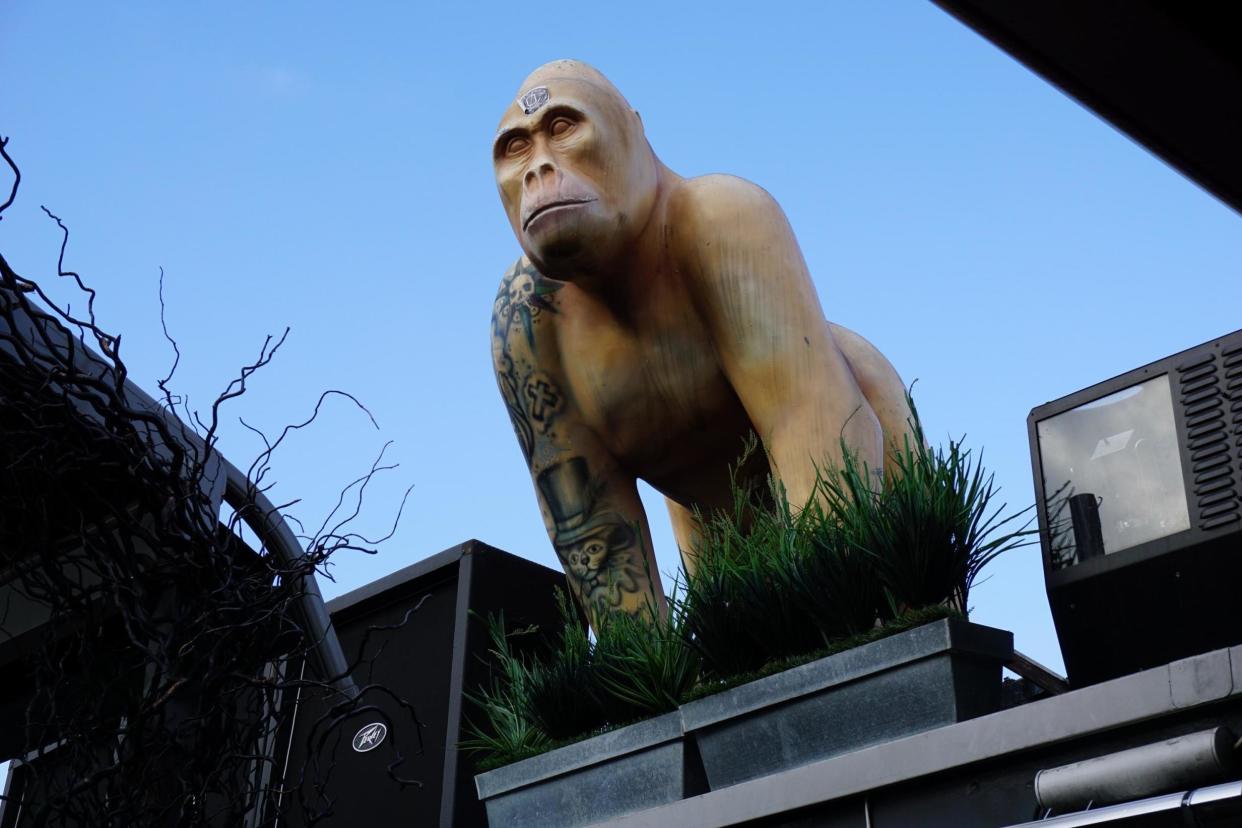 Lookout: "Ace" the gorilla by the hot tub on the roof of Karma Sanctum Hotel