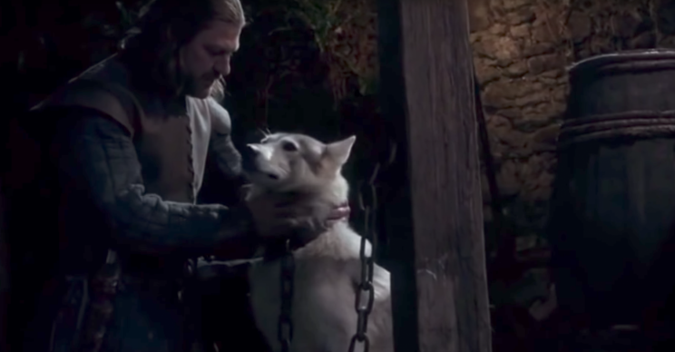 game of thrones direwolves