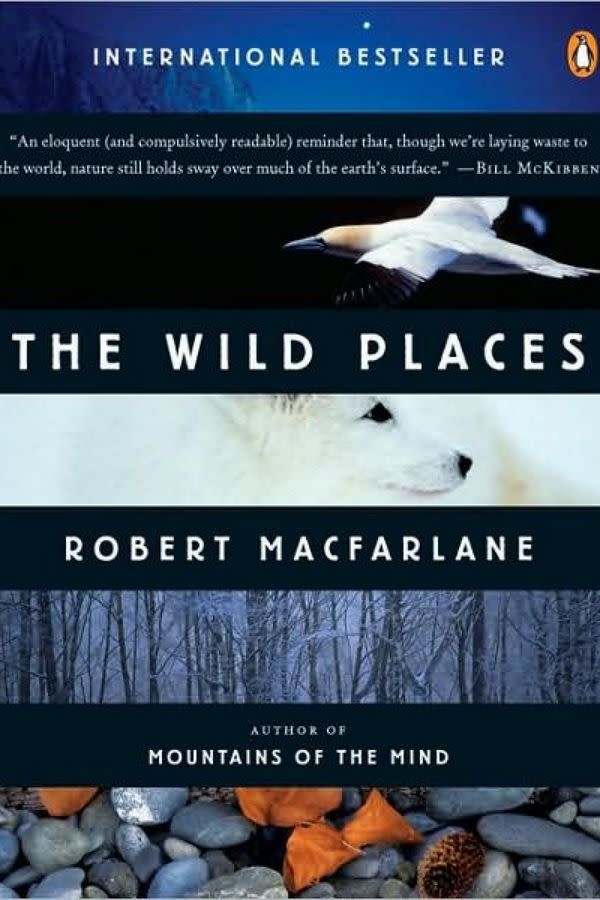 The Wild Places by Robert Macfarlane