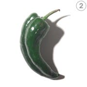 <h1 class="title">Poblano Pepper</h1><cite class="credit">Photo by Chris Astley.</cite>