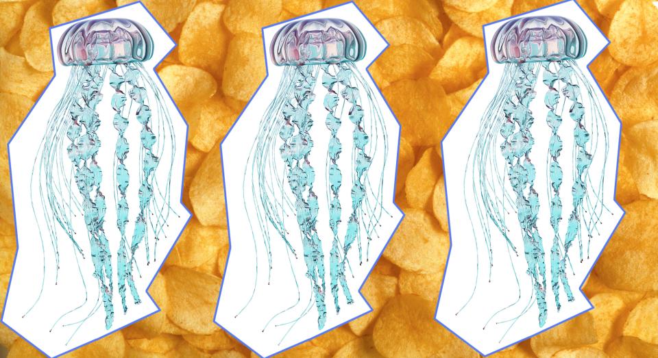 Would you eat a jellyfish crisp?