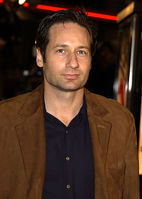 David Duchovny at the Westwood premiere of Warner Brothers' Ocean's Eleven