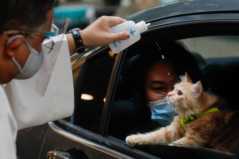 Drive-thru pet blessing on World Animal Day amid coronavirus outbreak