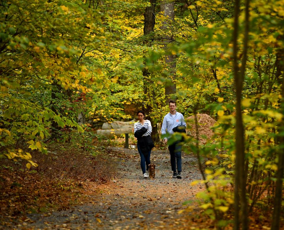 Isaac Lutz and his fiancée, Julie Zhang, both of Boston, walk their dog, Toby, 2, at New England Botanic Garden at Tower Hill in Boylston.