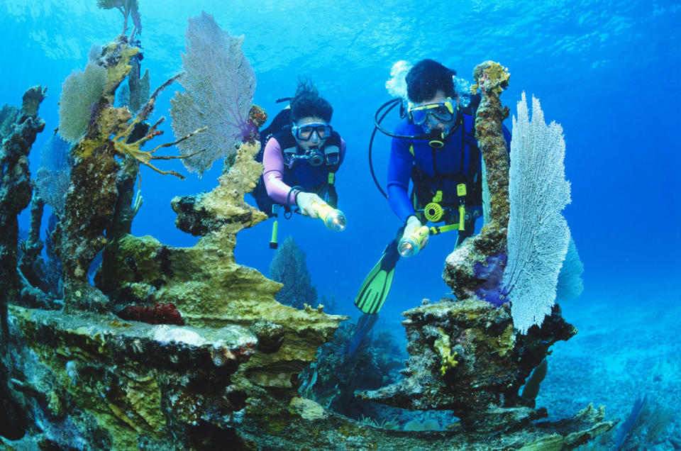 <div class="inline-image__caption"><p>Scuba divers at Florida Keys National Marine Sanctuary, Key Largo, Florida.</p></div> <div class="inline-image__credit">Stephen Frink/Getty</div>