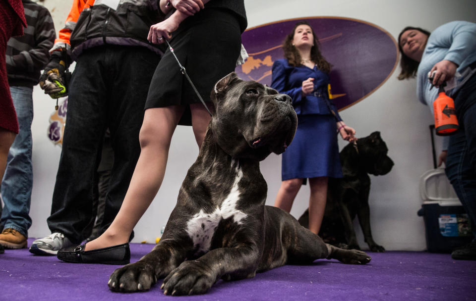 (Photo by Andrew Burton/Getty Images)