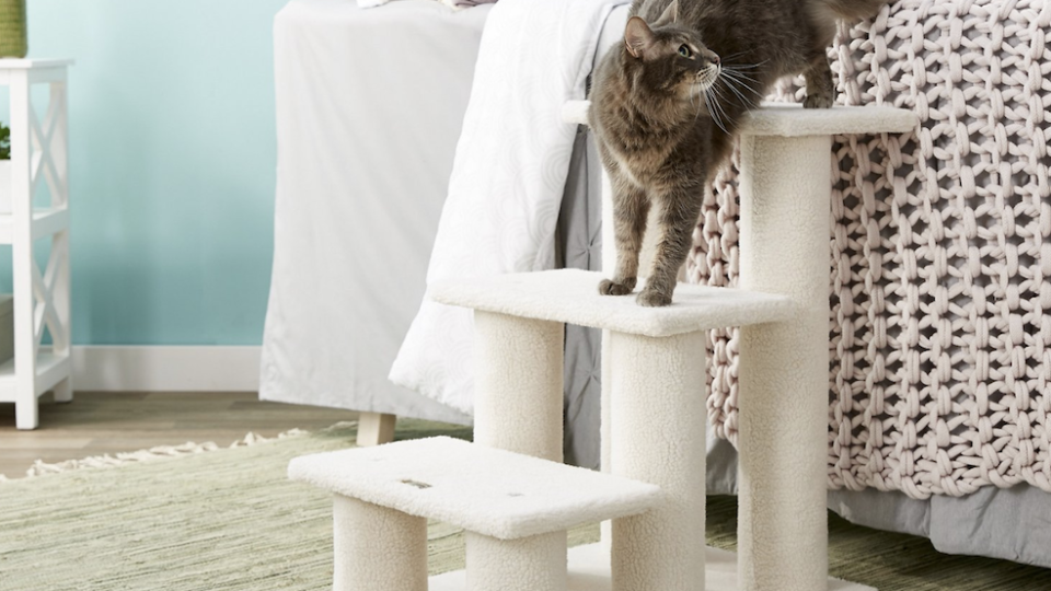 Improve your pet's mobility with these stairs.