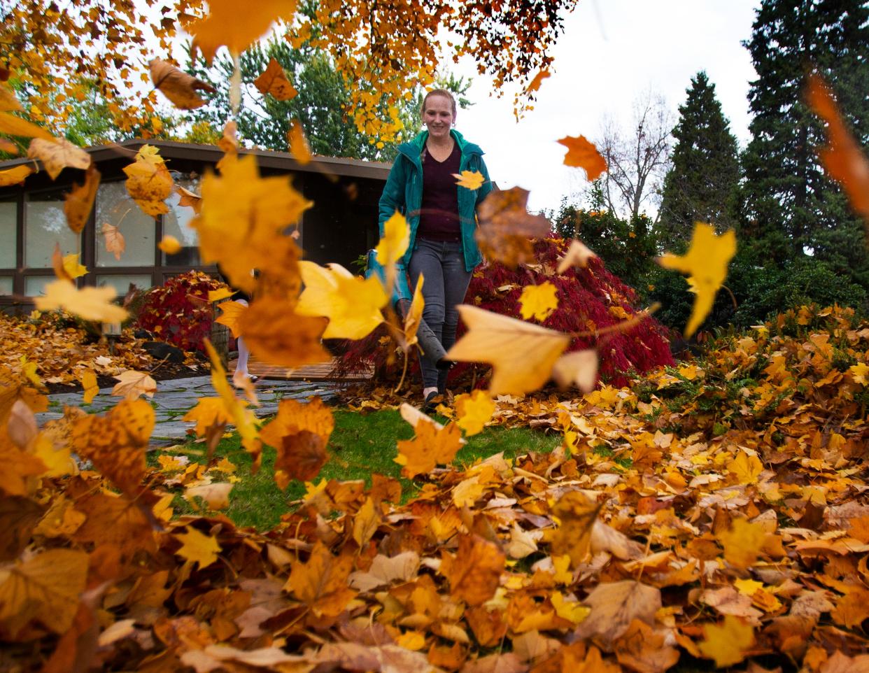 Brenda Ormesher blows leaves from her yard in Eugene as fall weather brings color and leaf-covered yards to the Willamette Valley.