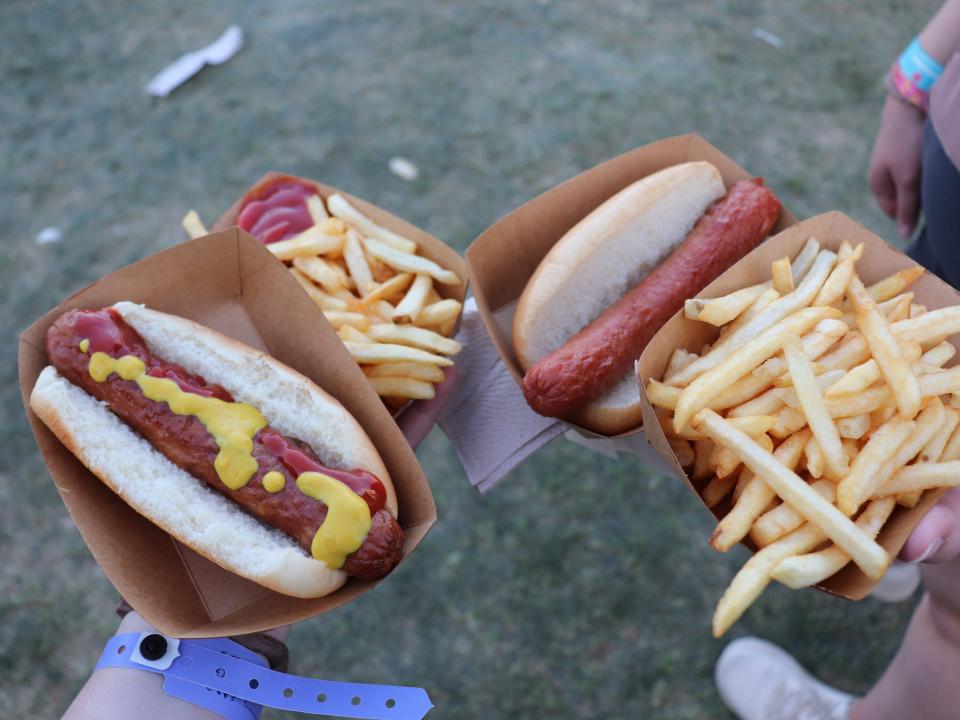 coachella food hot dog and fries