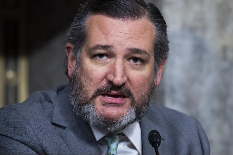 Sen. Ted Cruz (R-Texas) led the effort to overturn the presidential election based on lies about widespread voter fraud. Now he is ready to celebrate democracy. (Photo: Tom Williams via Getty Images)