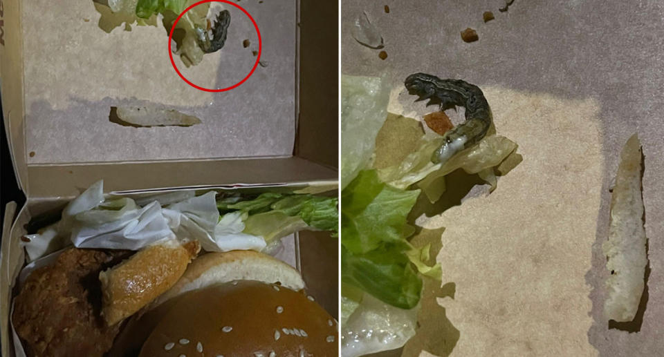 caterpillar found inside McDonald's burger.