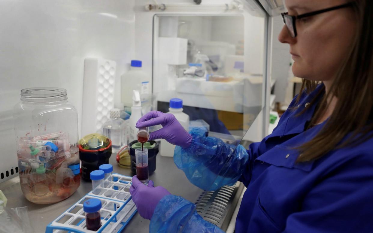 Francesca Nice prepares blood samples from patients with Covid for analysis as part of  a Cambridge trial into whether existing drugs will help prevent the body's immune system from overreacting - Reuters