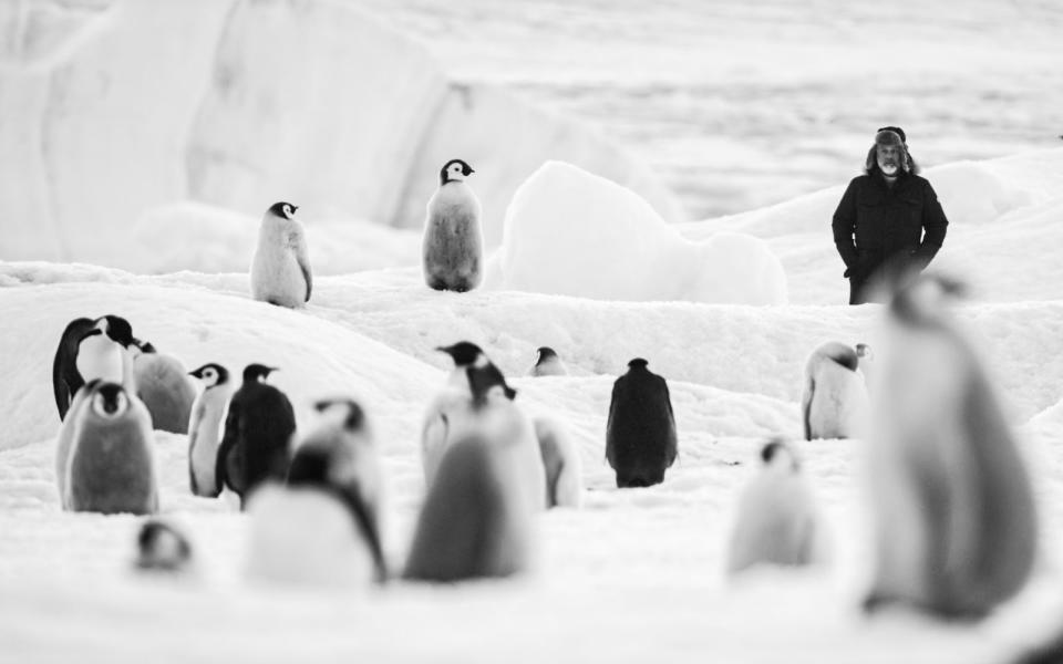 Bei "Rückkehr zum Land der Pinguine" setzt der Biologe und Filmemacher Luc Jacquet anders als beim ersten Film vor knapp 20 Jahren auf Schwarzweiß-Bilder. (Bild: Paprika Films-Luc Jacquet)