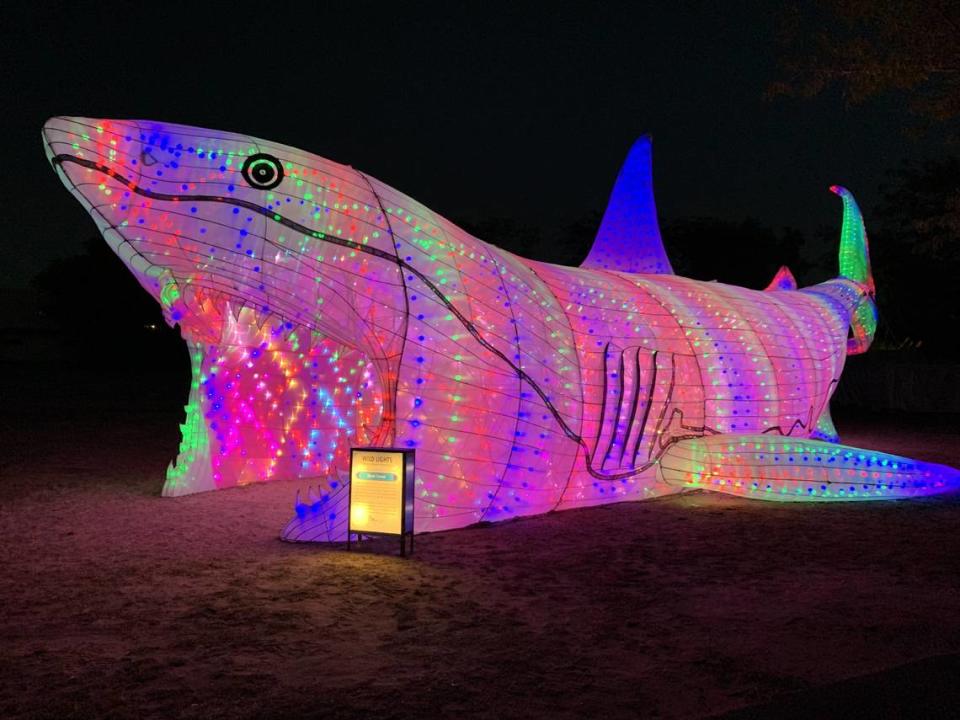 Visitors at the Sedgwick County Zoo’s Wild Lights exhibit can enter this shark through his mouth and exit through his tail fin.