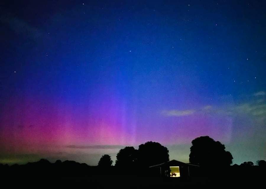 The Northern Lights at Sweet Promise Farm near Lindale and Tyler. Photo courtesy of Joe Pettty of Sweet Promise Farm.