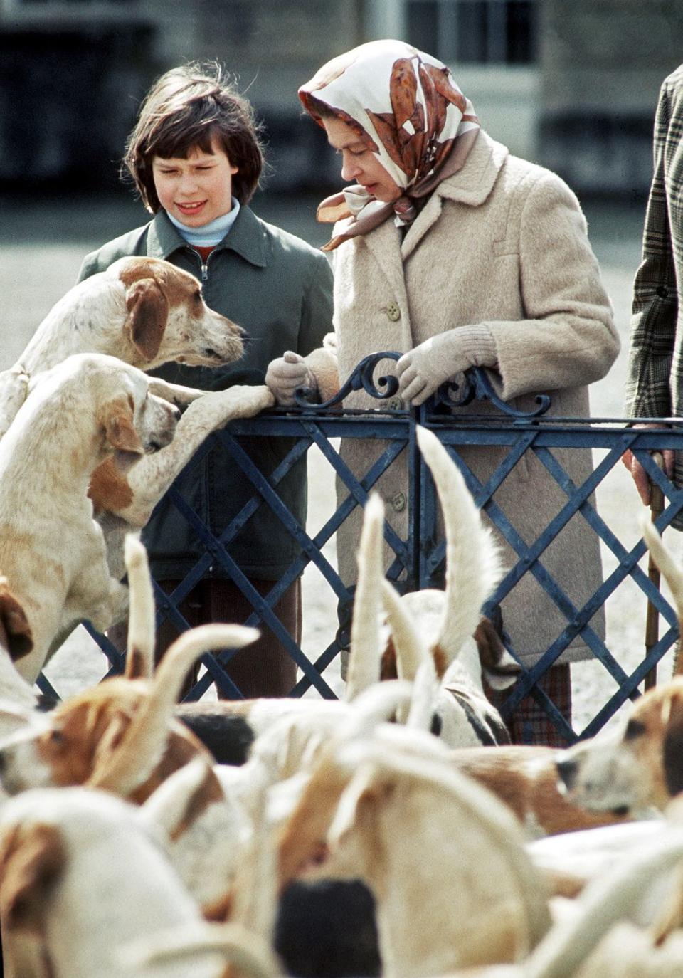 <p>Queen Elizabeth and Lady Sarah Armstrong-Jones (now Lady Sarah Chatto) meet the hounds at the Badminton Horse Trials.</p>