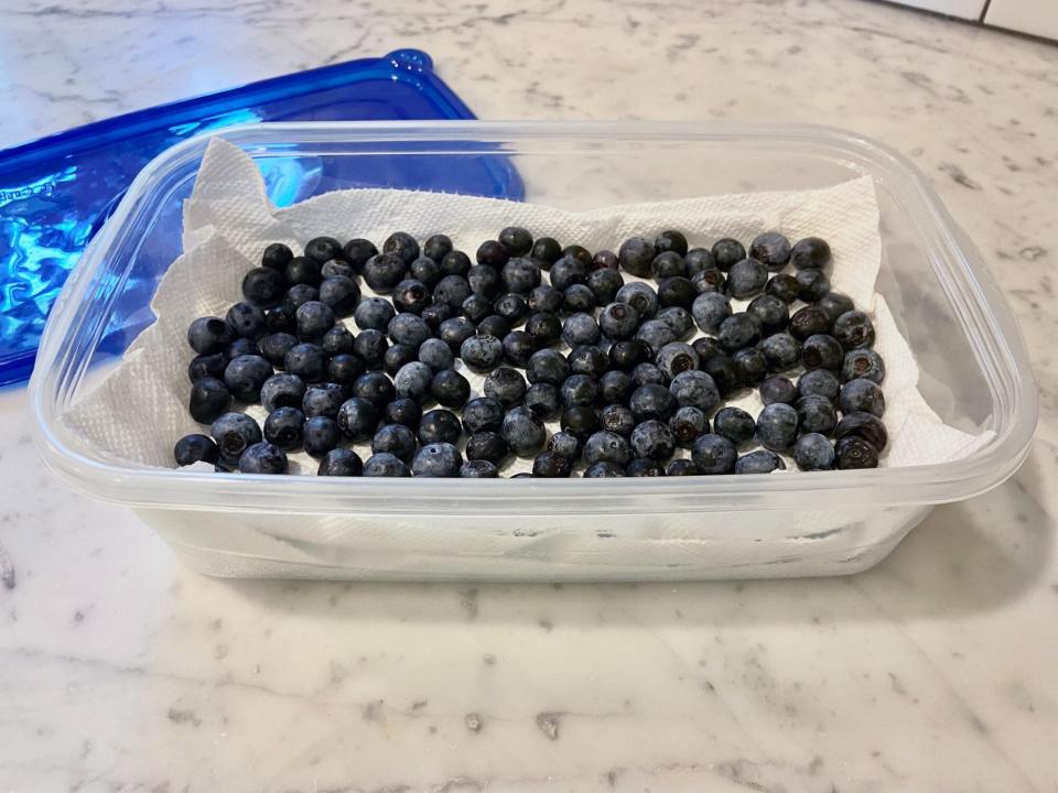 Blueberry Storage