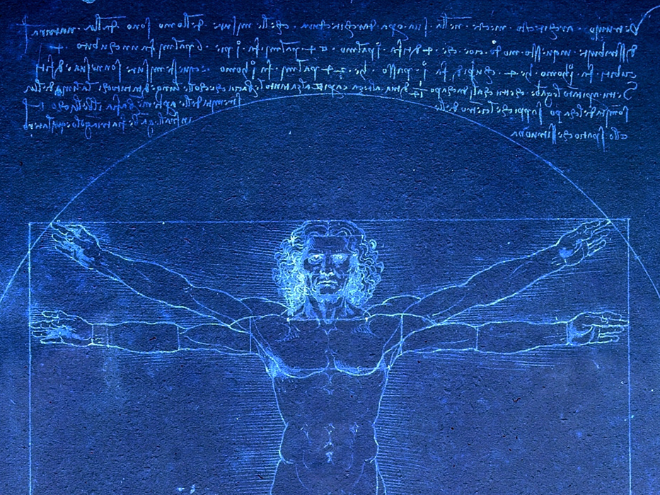 da vinci vitruvian man anatomy