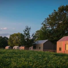 small uniform glamping cabins in the countryside