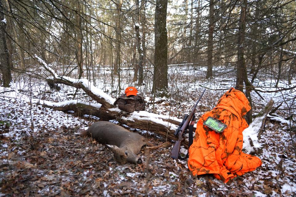 An adult female white-tailed deer taken during a hunt at the Leopold-Pines Conservation Area near Baraboo lays in a woodlot near a hunter's gear on Nov. 19, opening day of the 2022 Wisconsin gun deer hunting season.