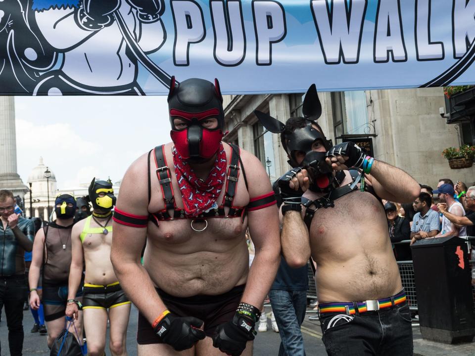 Pup walk bdsm queer