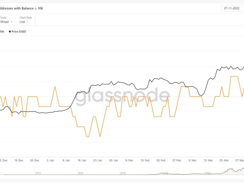 Addresses with a balance of more than 10K bitcoin (Glassnode)