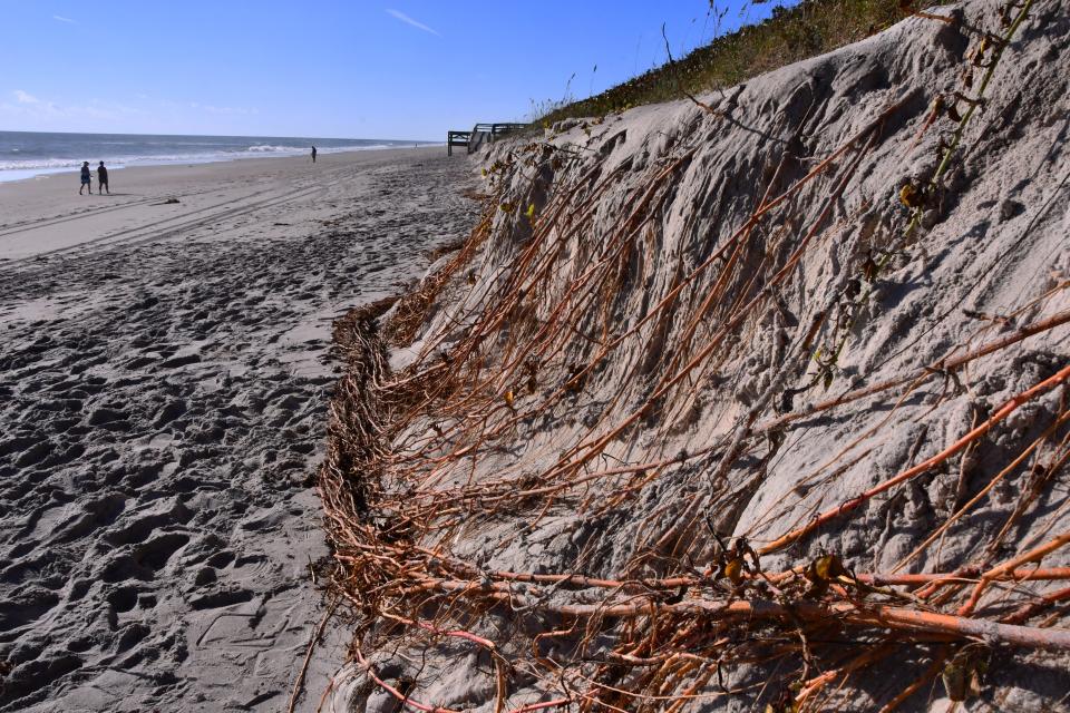 Brevard County's south beaches suffered severe erosion from Hurricane Ian, including at Coconut Point Park, which lost much of its dunes area.