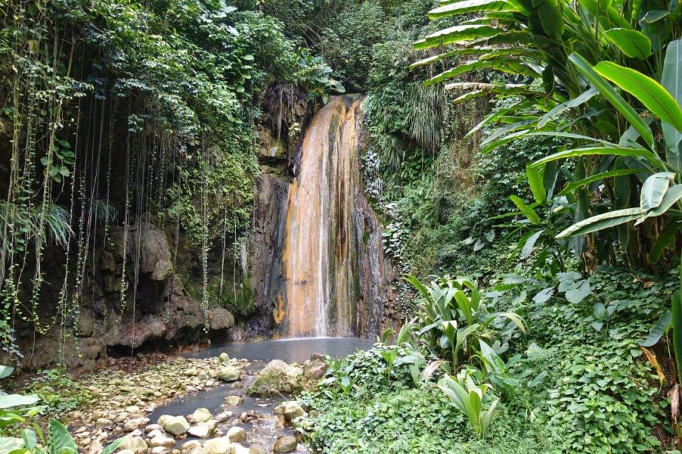 View of the Diamond Waterfall in the Diamond Botanical Gardens in St Lucia <br>(Photo: AdobeStock)