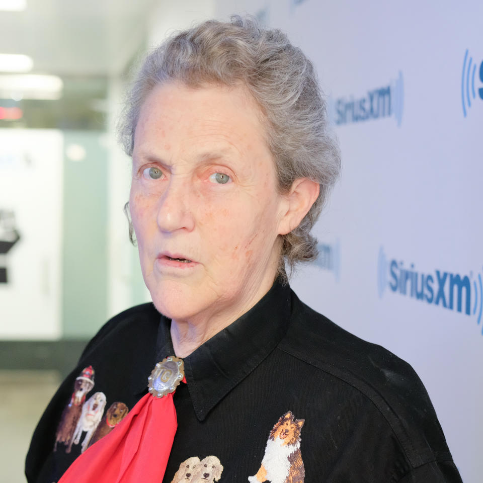 Temple Grandin is a prominent author and speaker on both autism and animal behavior. She is also a professor of Animal Science at Colorado State University. (Photo by Matthew Eisman/Getty Images)