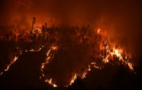 <p>A forest goes up in flames during a wildfire near the village of Mega Fundeira,<br> Portugal, June 18, 2017. (Miguel Riopa/AFP/Getty Images) </p>