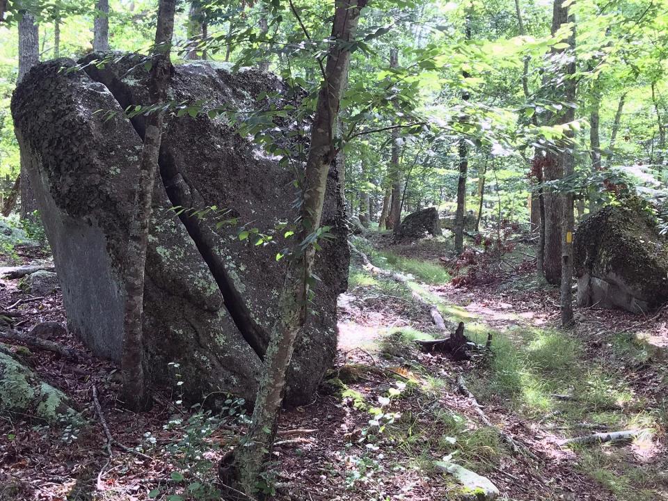 Huge boulders, some cracked by ice, line the paths in the Beaver River Preserve and are strewn about the forest.