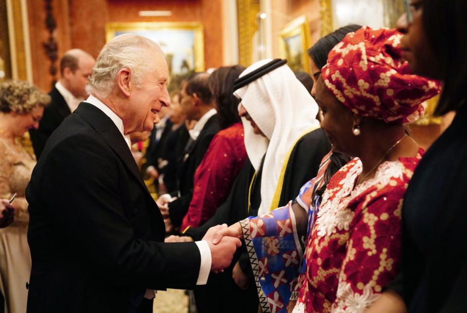 King Charles III during the Diplomatic Corps reception at Buckingham Palace (PA)