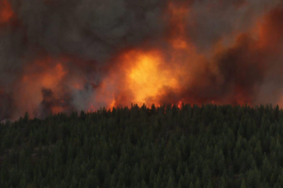 Wildfire terms every Canadian should be familiar with