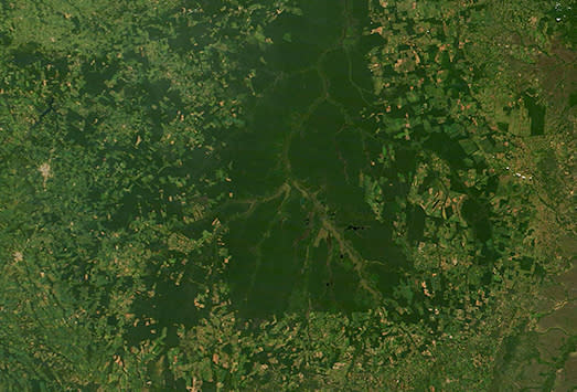 Deforestation around Brazil's Xingu National Park, May 4, 2022. Forested areas within the park appear dark green, while surrounding areas stripped of forest appear tan or light green. NASA