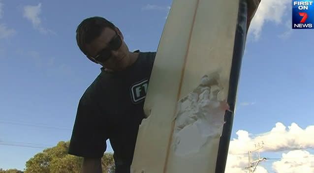 Surfer Andrew McLeod shows the huge chunk that was taken out of his board by the monster shark. Photo: 7News.