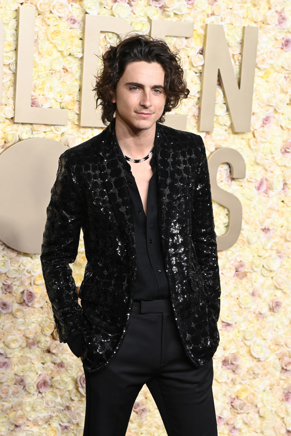 Timothée Chalamet attends the 81st Annual Golden Globe Awards. / Credit: Jon Kopaloff/WireImage/Getty Images