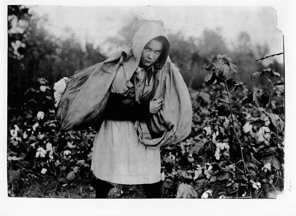 A young picker carries a large sack of cotton on her back. <a href="https://www.gettyimages.com/detail/news-photo/young-cotton-picker-carries-a-large-sack-of-cotton-on-her-news-photo/640486085?adppopup=true" rel="nofollow noopener" target="_blank" data-ylk="slk:Lewis Wickes Hine/Library of Congress via Getty Images;elm:context_link;itc:0;sec:content-canvas" class="link ">Lewis Wickes Hine/Library of Congress via Getty Images</a>