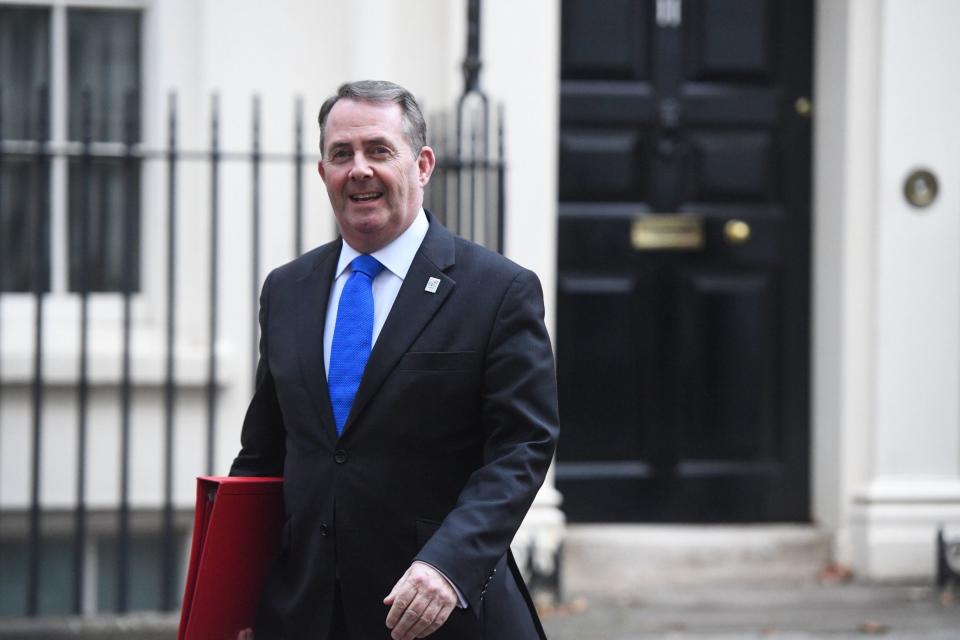 International Trade Secretary Liam Fox (PA)