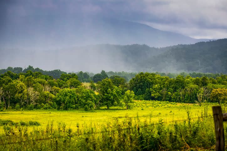 Cades Cove Campground, Great Smoky Mountains National Park, Tennessee