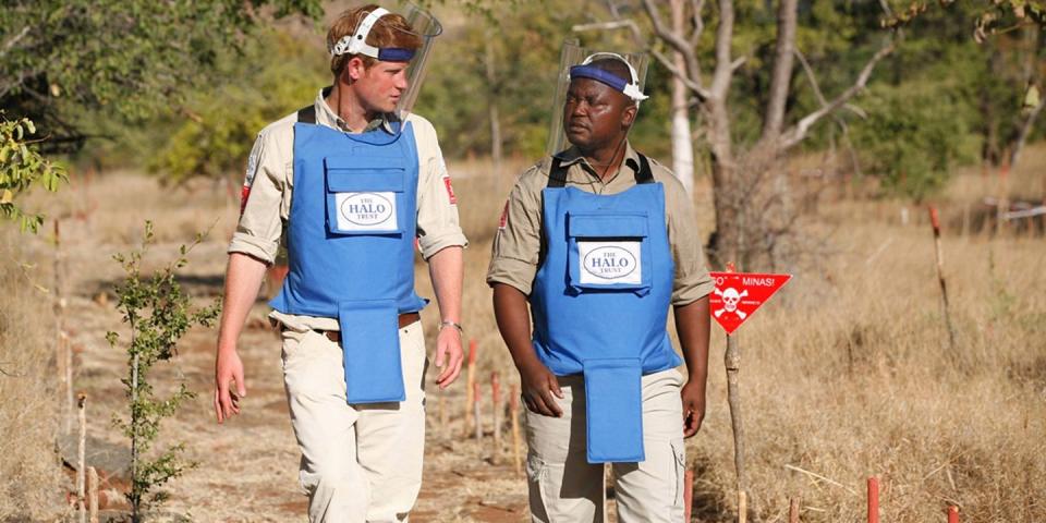 <p>Harry walks with a leader of The HALO Trust, a British charity dedicated to removal of landmines, in Cahora Bassa, Mozambique.</p>