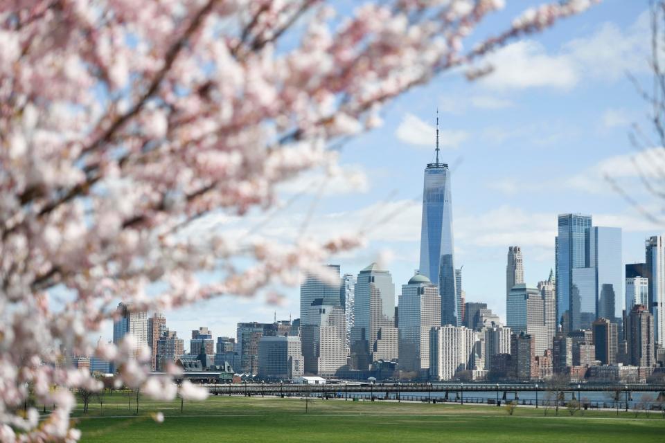 One World Trade is seen through cherry blossom trees at Liberty State Park on Thursday, April 2, 2020, in Jersey City.