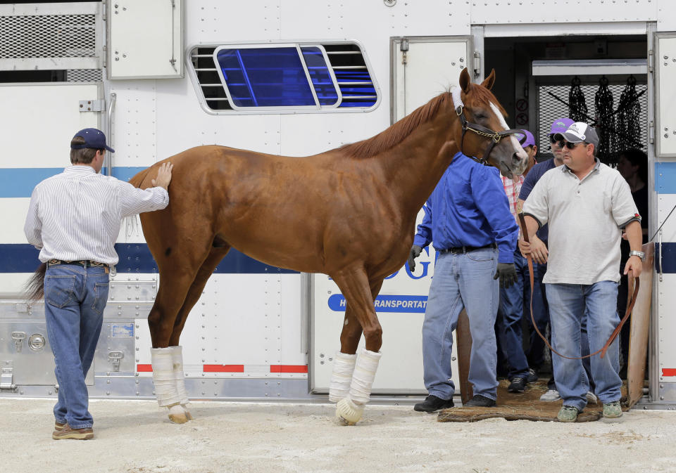 Kentucky Derby winner California Chrome walks with assistant trainer Alan Sherman, right, after being unloaded from a trailer at Pimlico Race Course in Baltimore, Monday, May 12, 2014. The Preakness Stakes horse race, second race in horseracing's Triple Crown, is scheduled to take place Saturday, May 17. (AP Photo)