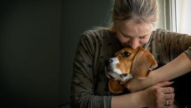 how to help a dog overcome grief