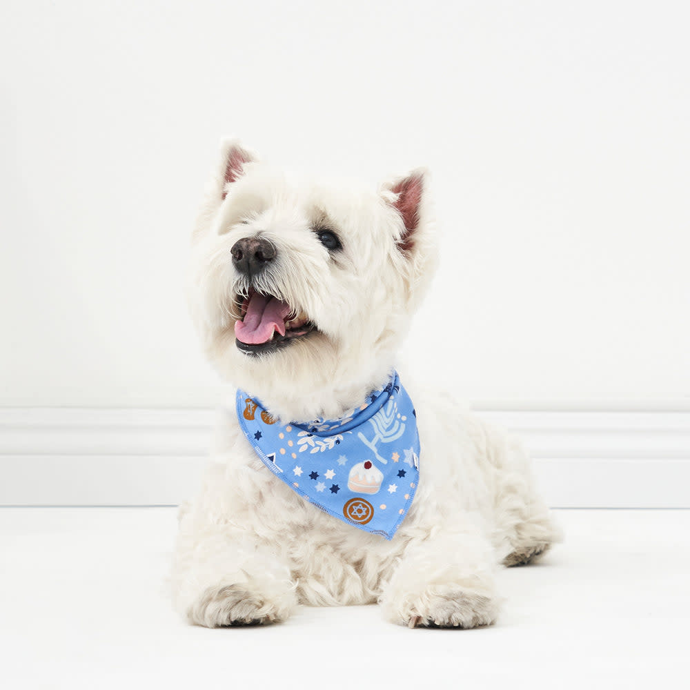 <p><a href="https://go.redirectingat.com?id=74968X1596630&url=https%3A%2F%2Flittlesleepies.com%2Fproducts%2Fhanukkah-lights-and-love-pet-bandana&sref=https%3A%2F%2Fwww.thepioneerwoman.com%2Fholidays-celebrations%2Fgifts%2Fg45825939%2Fhanukkah-gifts%2F" rel="nofollow noopener" target="_blank" data-ylk="slk:Shop Now;elm:context_link;itc:0;sec:content-canvas" class="link rapid-noclick-resp">Shop Now</a></p><p>Hanukkah Lights & Love Pet Bandana</p><p>littlesleepies.com</p><p>$12.00</p>