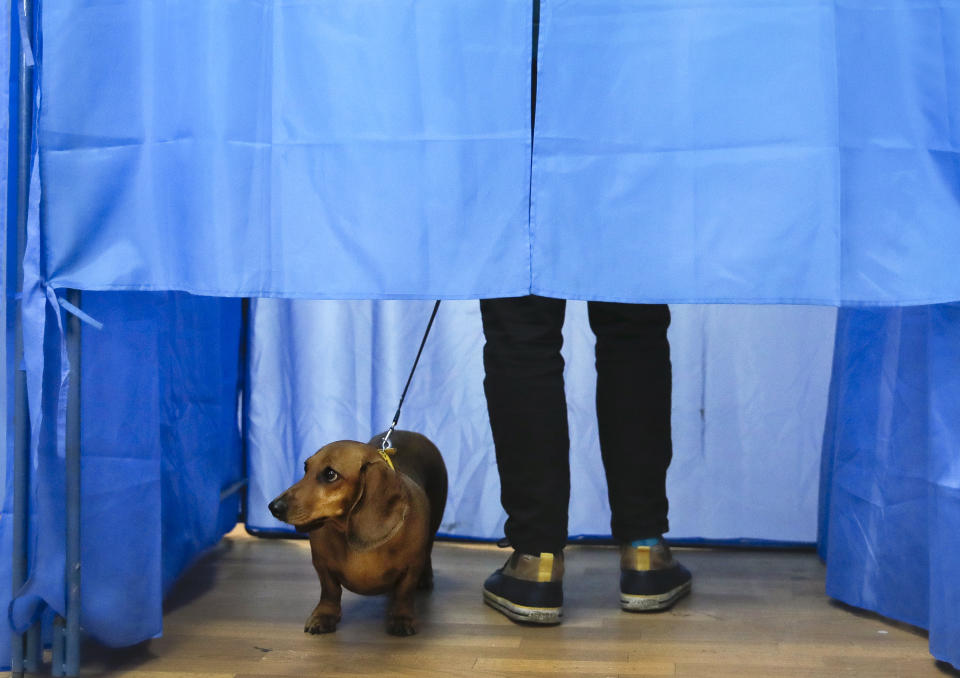 A dog looks out of a voting cabin as a man casts his vote during the second round of presidential elections in Kiev, Ukraine, Sunday, April 21, 2019. Top issues in the election have been corruption, the economy and how to end the conflict with Russia-backed rebels in eastern Ukraine. (AP Photo/Vadim Ghirda)