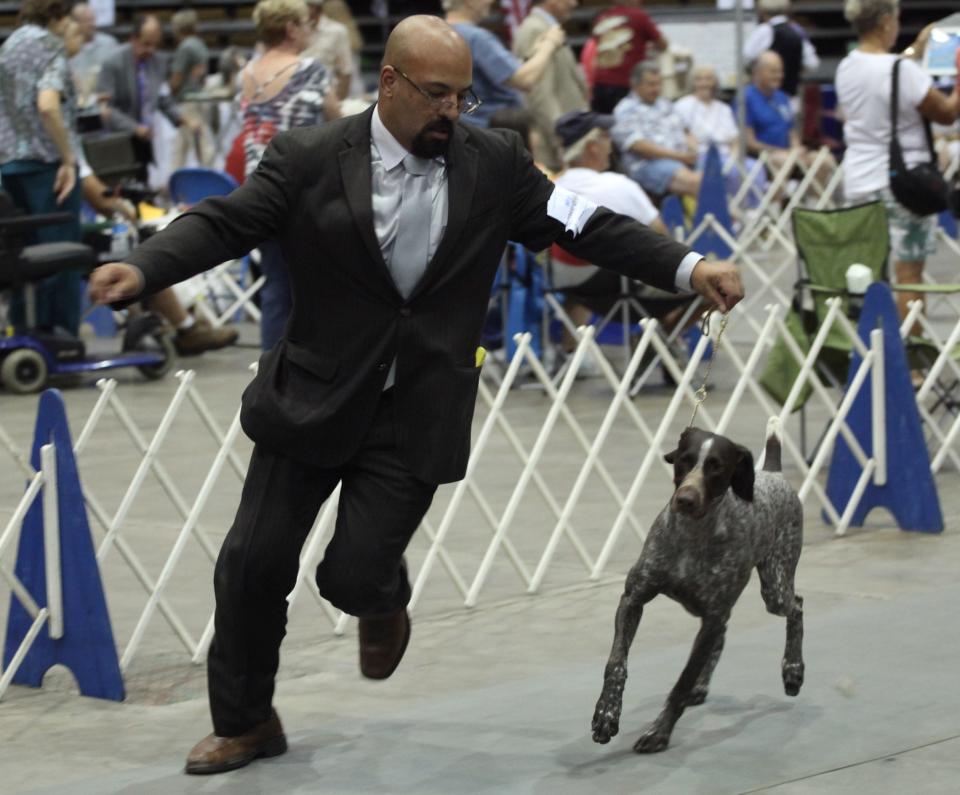 Arvind De Braganca of Gainesville competes with Nandi, a German short haired pointer, during the 2013 Greater Fort Myers Dog Club dog show Lee Civic Center.