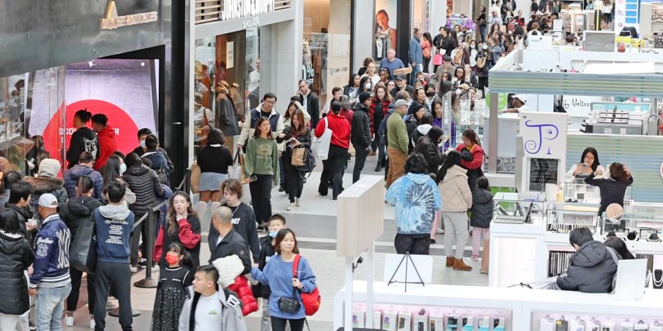 Black Friday shopping at a mall.