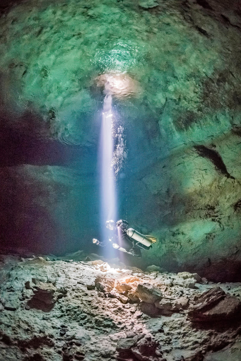 Beam me up! Beeindruckende Unterwasseraufnahmen