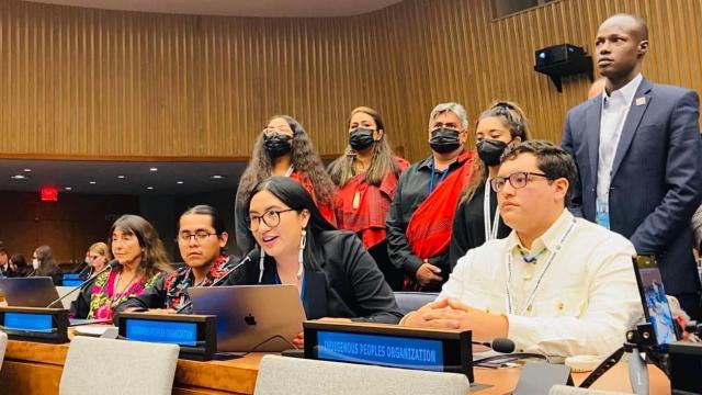 Dispatch From United Nations Permanent Forum On Indigenous Issues April 25 2022 0351