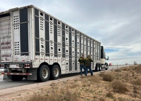 San Bernardino County Sheriff’s officials reported the results of a recent livestock road enforcement conducted along Highways 395 and 58 in the High Desert.